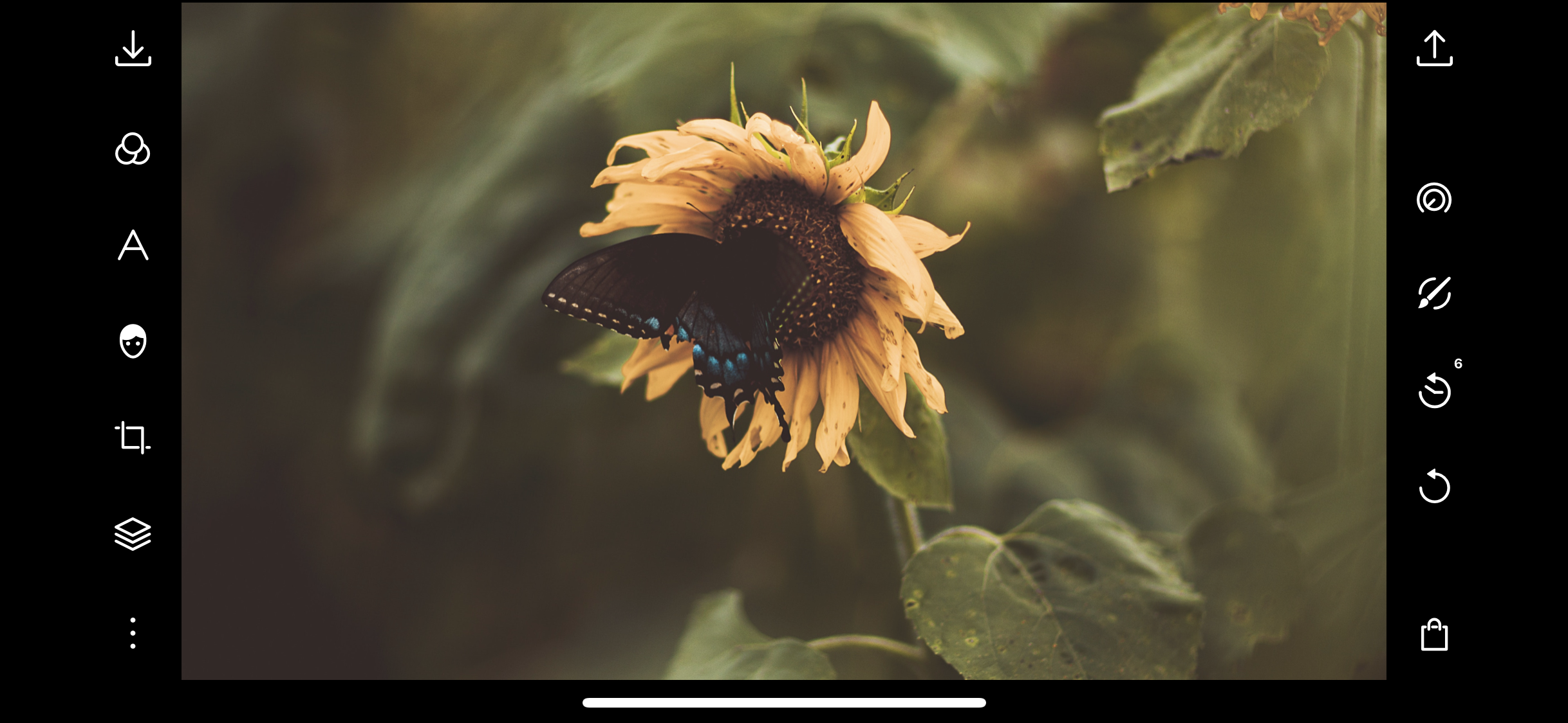 polarr